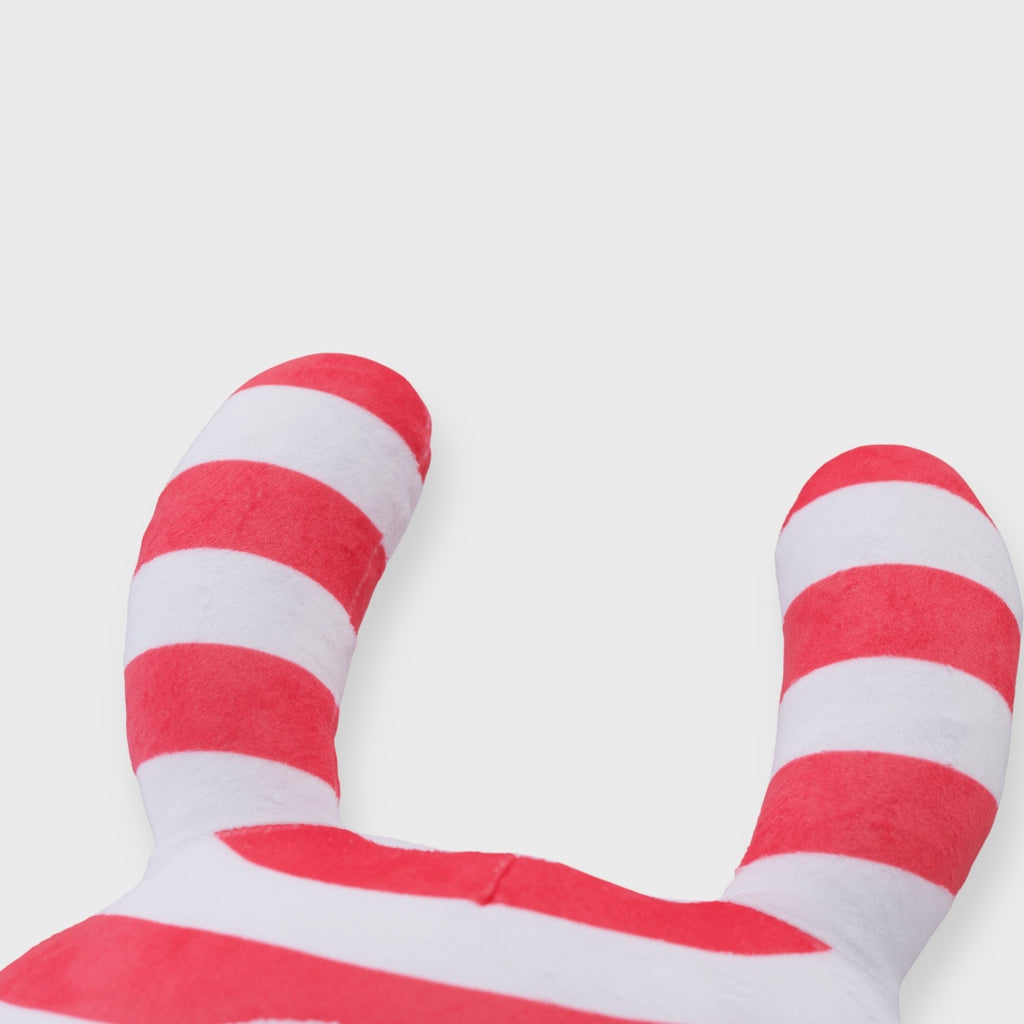 Shimausa Plush – The Fluffy Bunny Hug Buddy