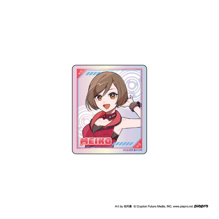 WHOLE BODY STICKER 12 CLOSED BOX