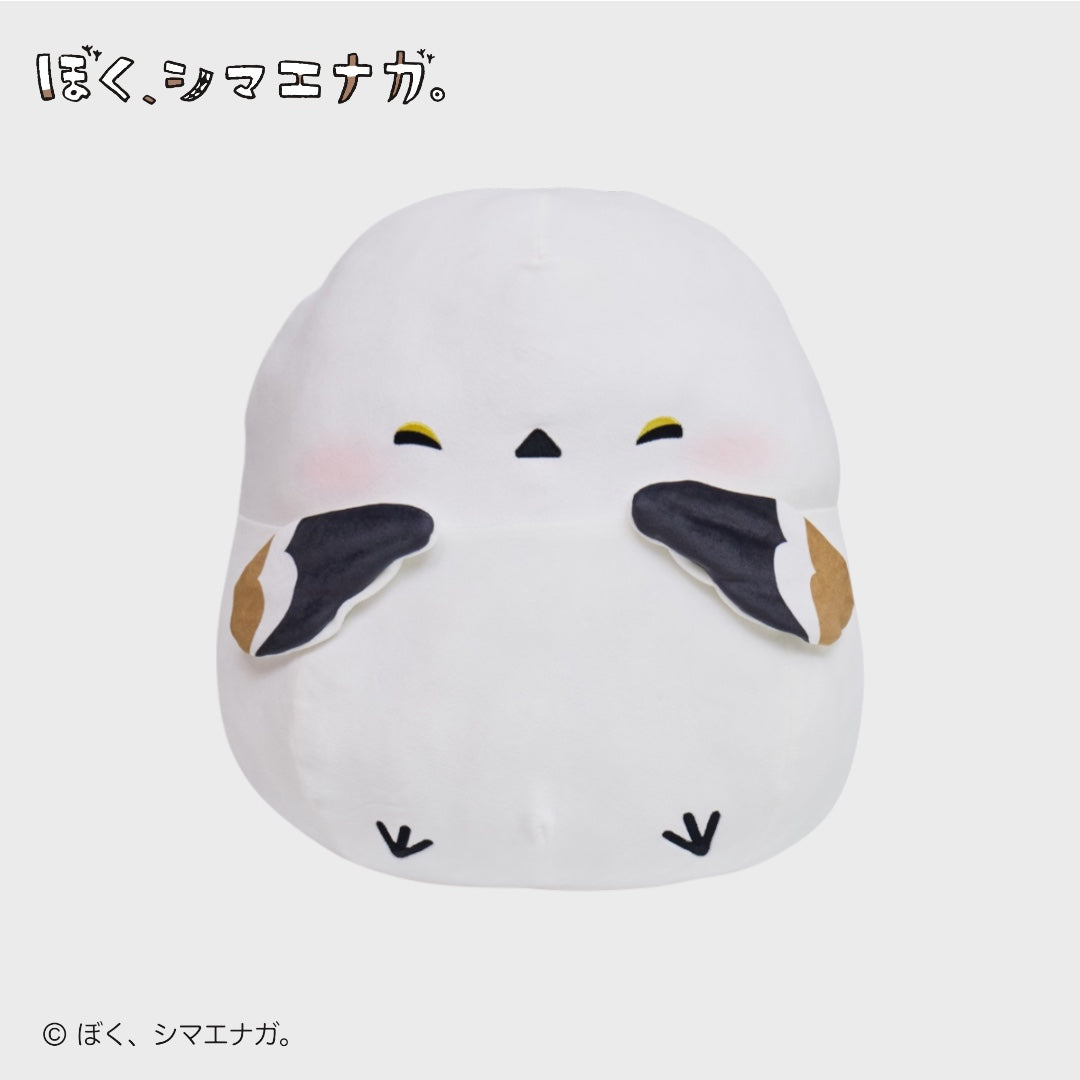 Shimaenaga Plush Doll – The Fluffy White Bird from Hokkaido That Melts Your Heart! 🐤💘